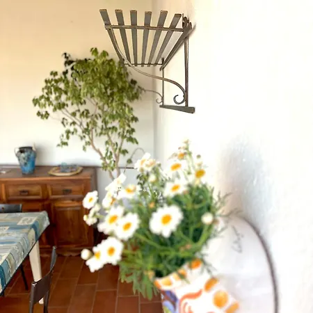 Casa Annameri טראסיני